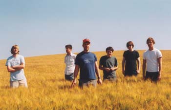 wheat
